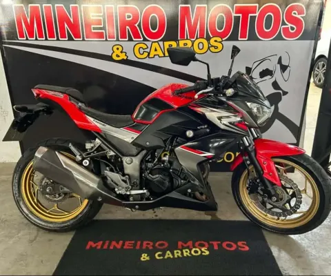 Kawasaki Z 300 ABS