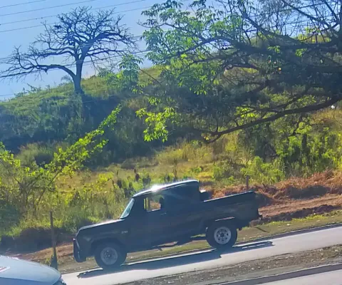 CHEVROLET D-10 à venda.