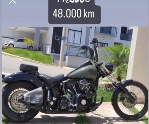 HARLEY-DAVIDSON HERITAGE à venda.