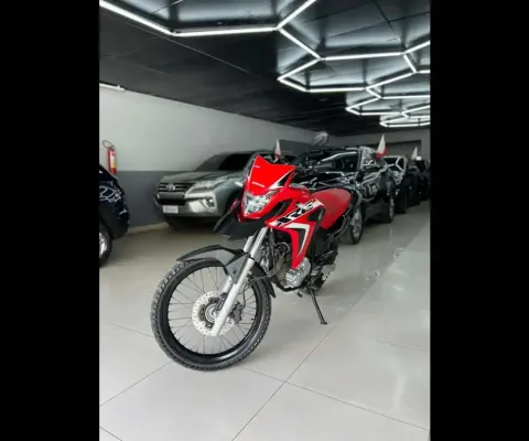 HONDA XRE 300/ 300 ABS/ FLEX