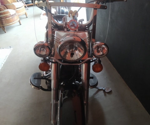 HARLEY-DAVIDSON HERITAGE à venda.