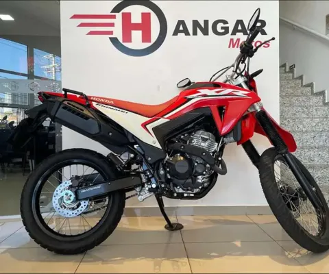 HONDA XR 300L TORNADO  - 2024/2025