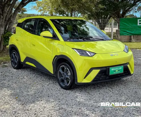 BYD Dolphin Mini (Elétrico)