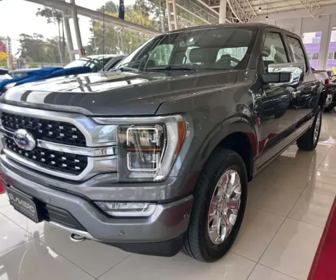 FORD F-150 Platinum 4x4 5.0 V8