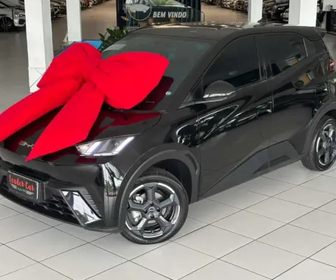 Byd Dolphin mini 2025 38 kw elétrico