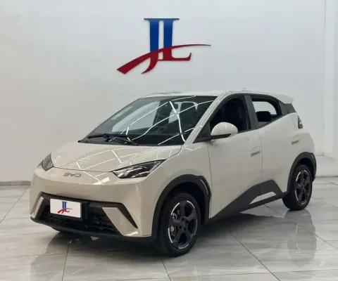 BYD DOLPHIN MINI GS EV 2025