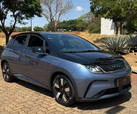 byd dolphin