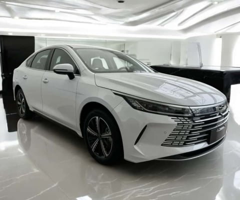 BYD KING 1.5