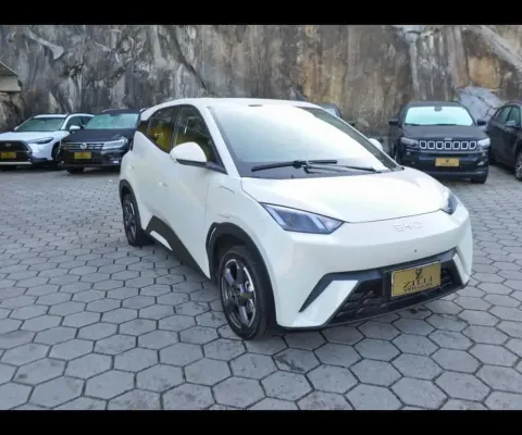 BYD Dolphin Mini (Elétrico) - Branca - 2024/2025