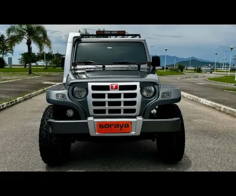 Troller T4 TDI 3.2 4x4  - Cinza - 2012/2013