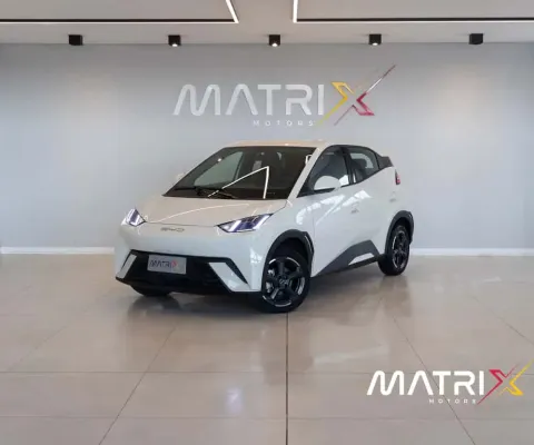 BYD Dolphin Mini (Elétrico)