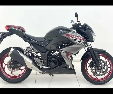 KAWASAKI Z300 ABS 2019 LINDA MOTO COMPLETA COM CHAVE RESERVA E MANUAL DO PROPRIETÁRIO 