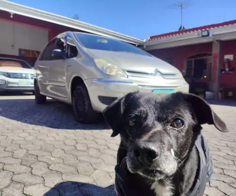 CITROEN PICASSO II16GLXF 2009