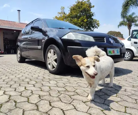 RENAULT MEGANE GRAND TOUR DYNAMIQUE 1.6 16V 4P 2008
