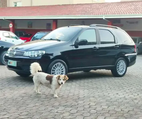 FIAT PALIO WEEK ELX FLEX 2007