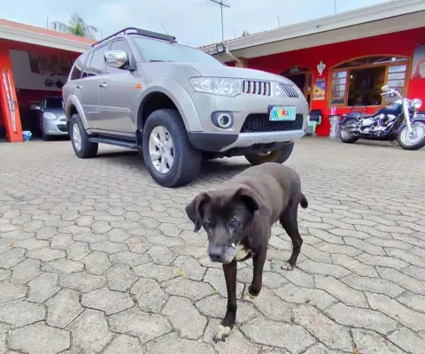 Mitsubishi pajero dakar d 2013