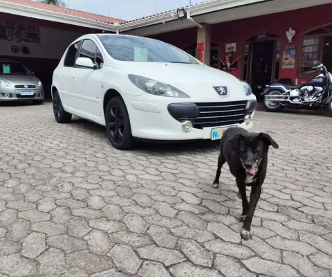 Peugeot 307 16 pr pk 2012