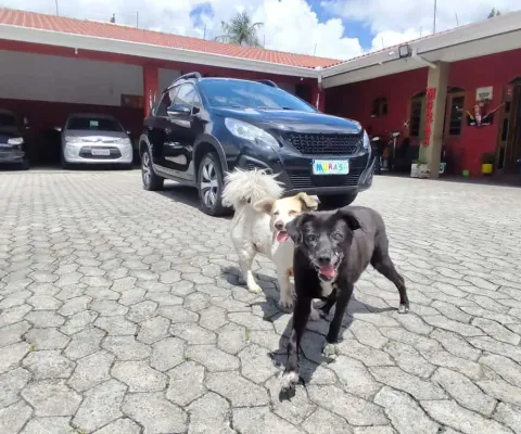 Peugeot 2008 allure pk 2020