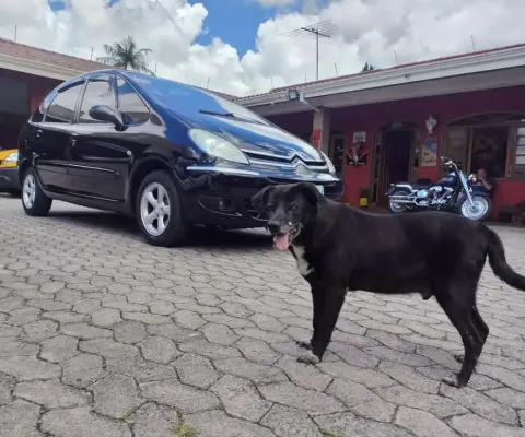 Citroen picasso ii20exca 2010