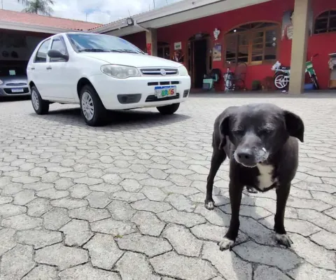 Fiat palio fire economy 2012
