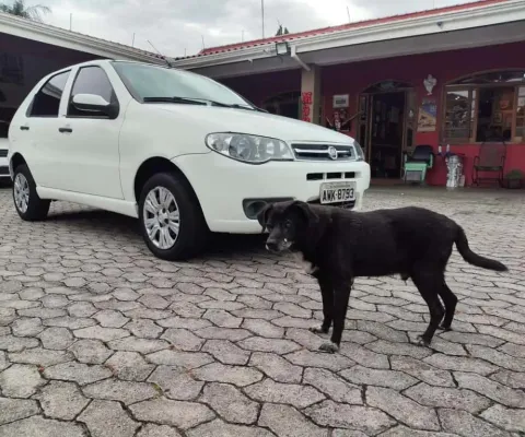 Fiat palio fire econom 2013
