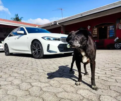 Bmw 320i m sport flex 2023