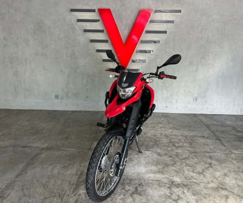 Yamaha XTZ Flex Manual