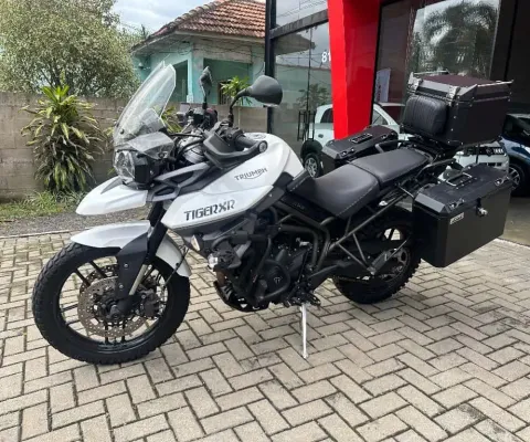 TIGER 800 XR