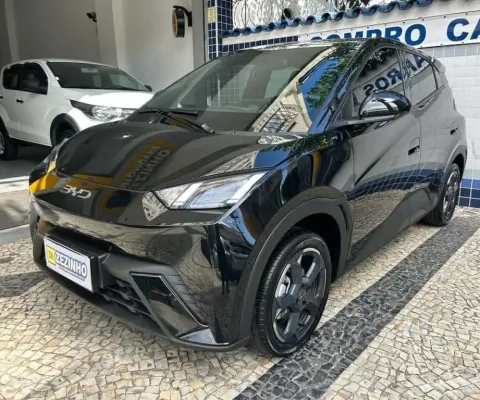 Byd Dolphin mini 2025 38 kw elétrico
