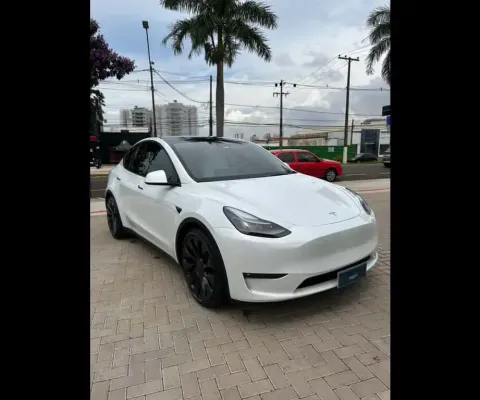 TESLA MODEL Y Model y perform