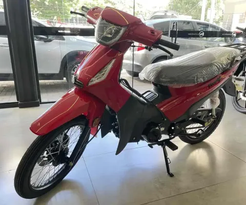Shineray Phoenix s 50 2025