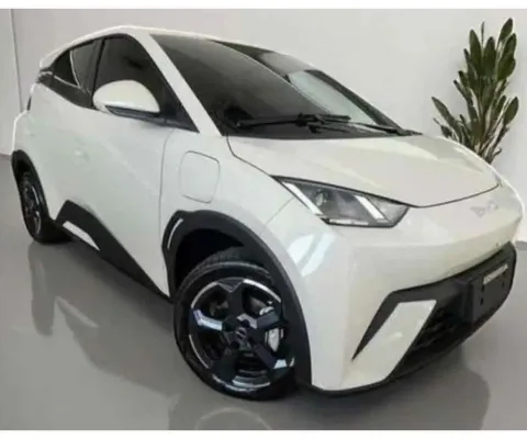Byd Dolphin mini 2026 38 kw elétrico 5l