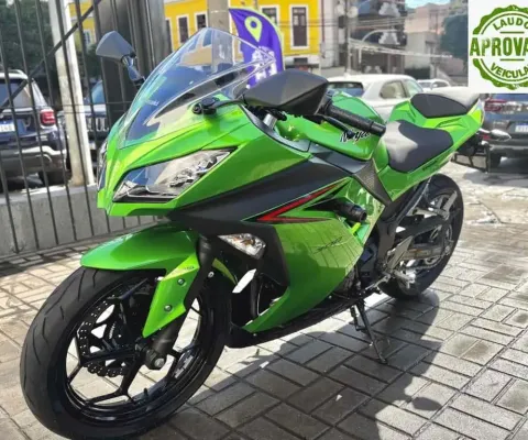 Kawasaki Ninja 300 2024