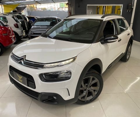 C4 CACTUS FEEL AT 2022