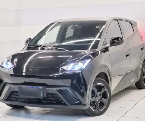 Byd Dolphin mini 2025 38 km elétrico