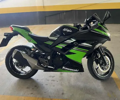 Kawasaki Ninja 300 2017