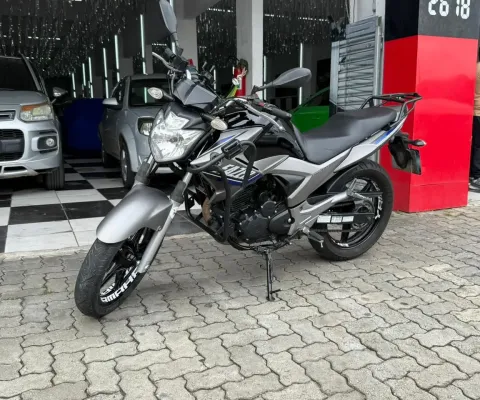 YS 250 FAZER L. EDITION BLUEFLEX 2015, Equilíbrio Perfeito entre Potência e Eficiência