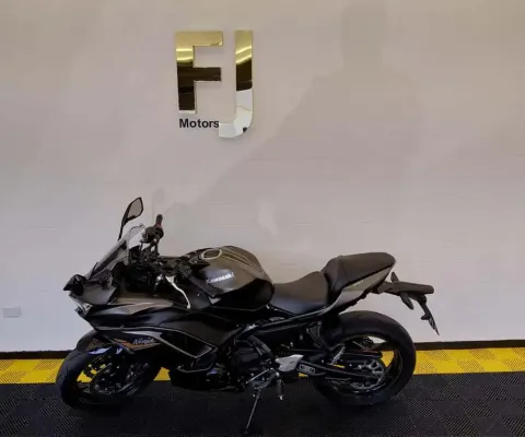 Kawasaki ninja 650r 2024