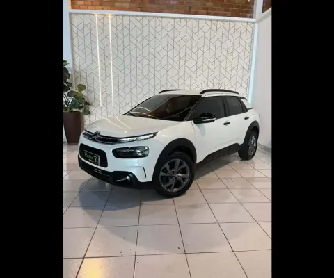 C4cactus feel at 2022