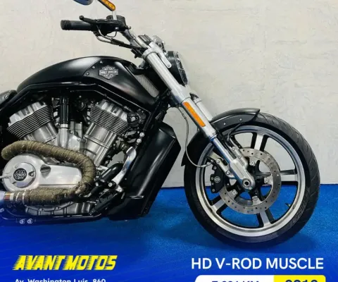 V-ROD MUSCLE