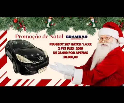 PEUGEOT 207 XR 2PTS 1.4 FLEX 2009
