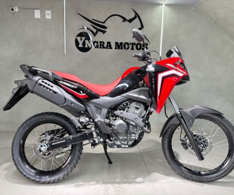 HONDA XRE 300 RALLY ABS FLEX