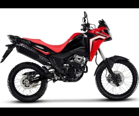 HONDA SAHARA 300 RALLY ABS FLEX
