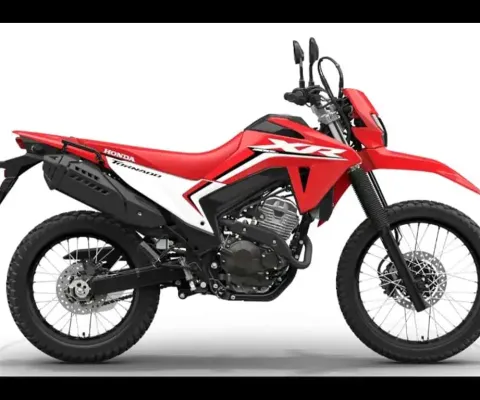 HONDA XR 300L TORNADO FLEX