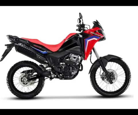 HONDA SAHARA 300 RALLY ABS FLEX