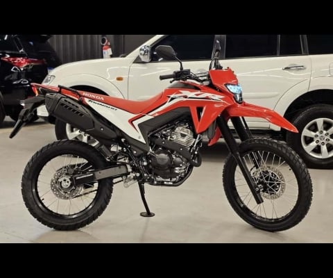 XR 300L TORNADO FLEX