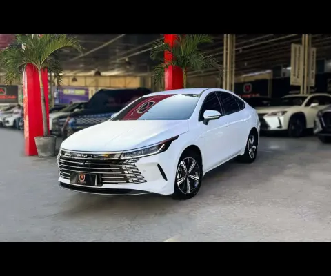 BYD KING 1.5 GS HÍBRIDO 16V 4P