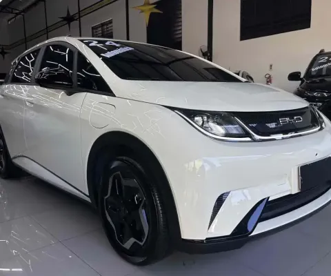 Byd Dolphin 2024 44,9 kw elétrico gs