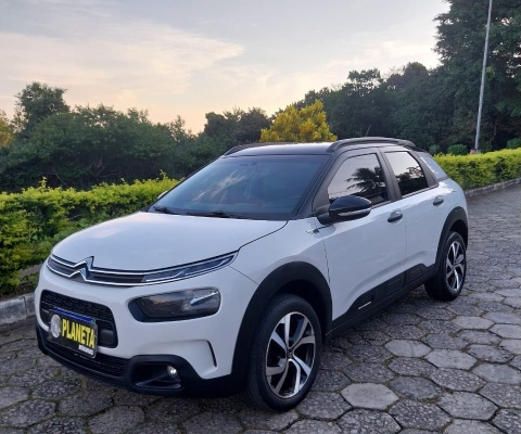 C4 Cactus F eel
