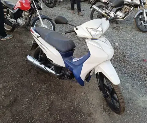 SHINERAY XY125-6A - SHINERAY